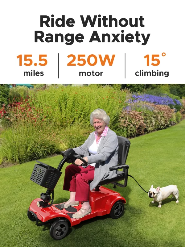Four-Wheeled Electric Scooter - Image 3